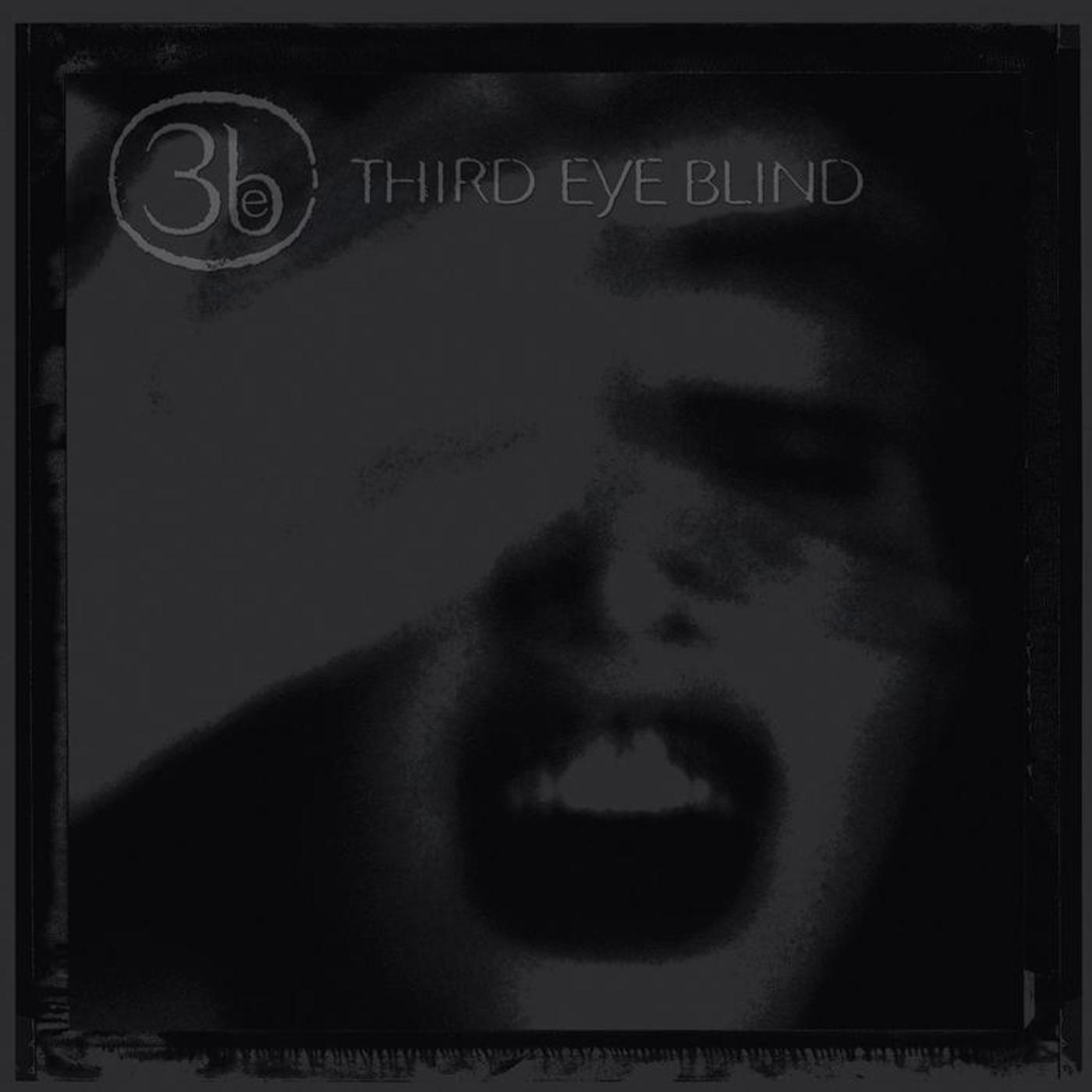 Third Eye Blind: 20th Anniversary Edition