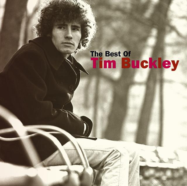 Tim Buckley THE BEST OF TIM BUCKLEY Album Cover