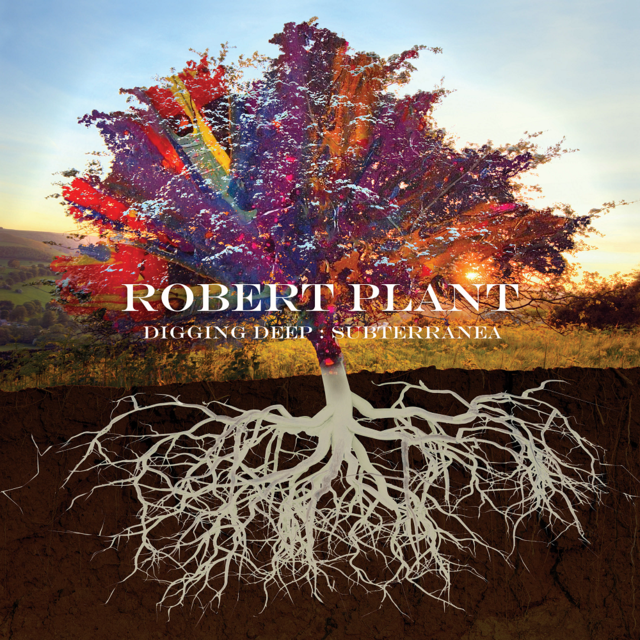 Robert Plant DIGGING DEEP Cover