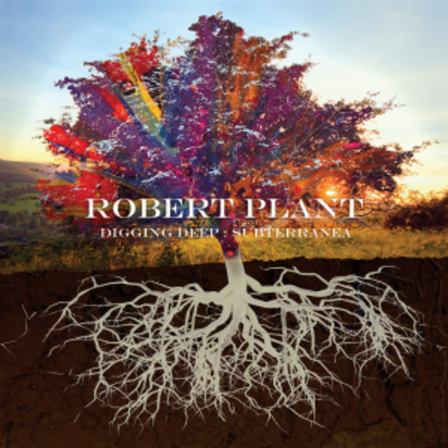 Robert Plant DIGGING DEEP ANTHOLOGY Art