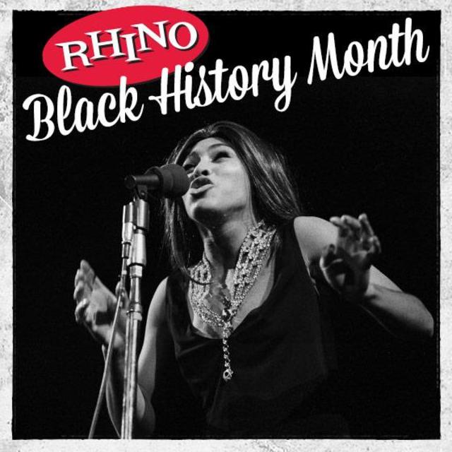 Rhino Black History Month: Tina Turner