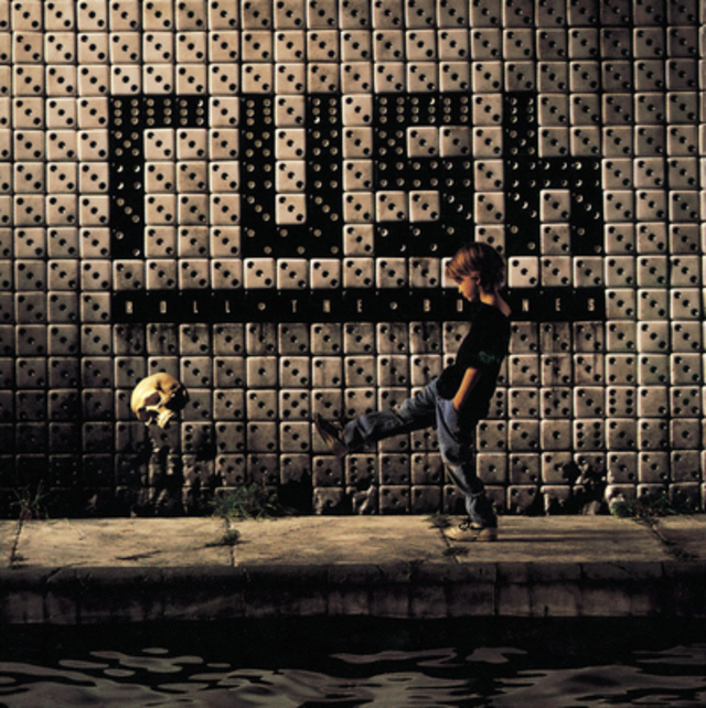 Happy 25th: Rush, Roll the Bones