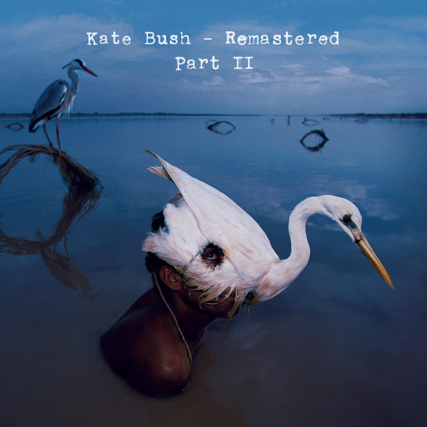 dårligt specificere pludselig Kate Bush - Remastered Part II | Rhino