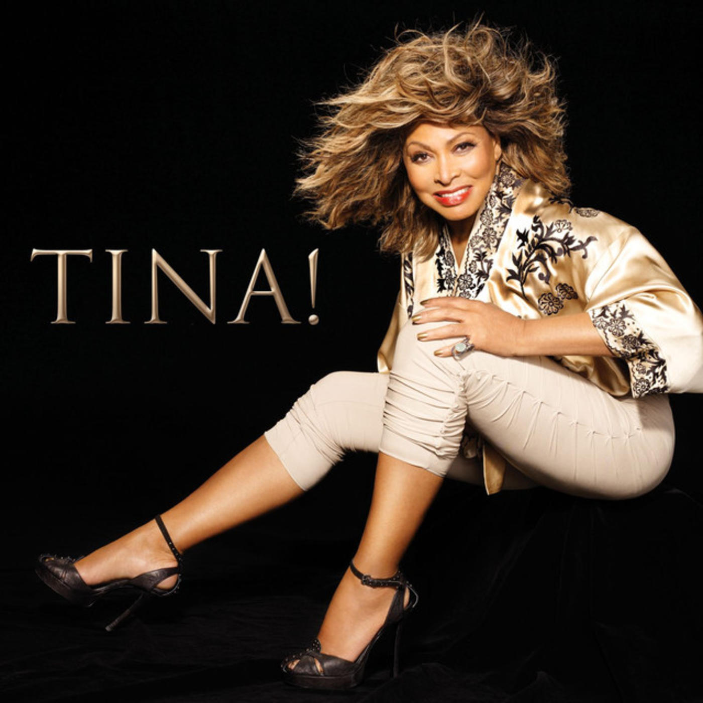tina turner tour what's love got to do with it