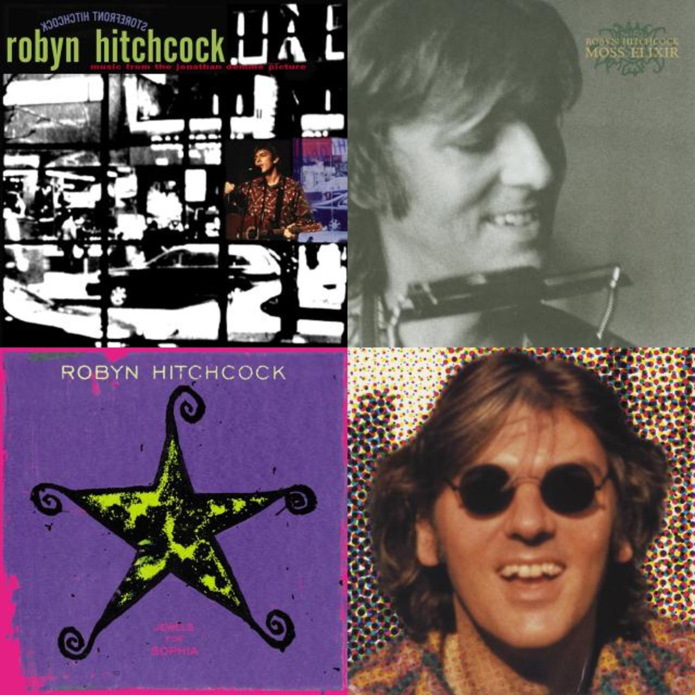 Robyn Hitchcock: The Warner Brothers Years