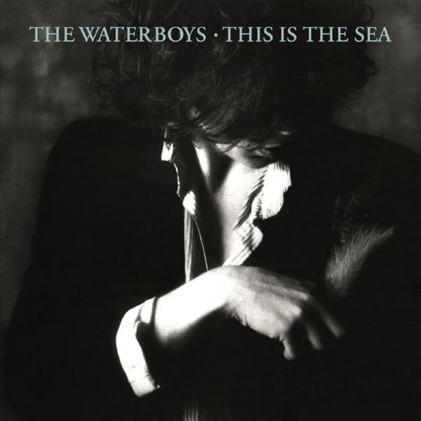 Happy Anniversary: The Waterboys, This Is The Sea | Rhino
